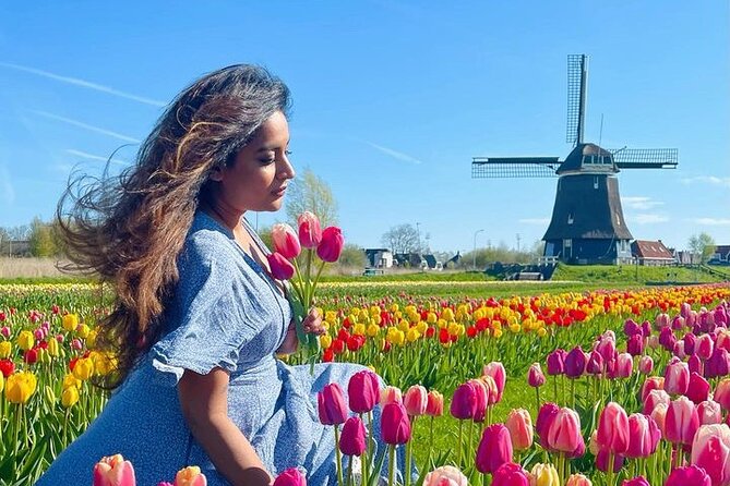 Discover Holland’s Beautiful Tulip Fields with an Expert Guide - The road through Beemster Polder