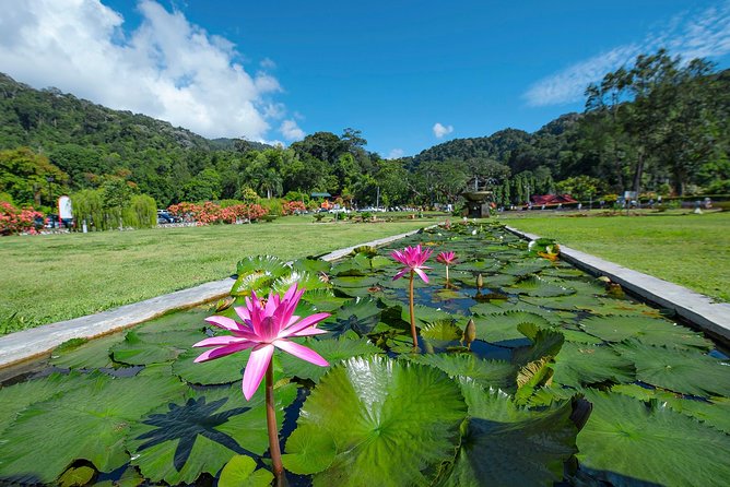 Discover Penang's Best: Hill, Beach, Botanic Gardens & Kek Lok Si - Penang Hill and the ride to 833 meters