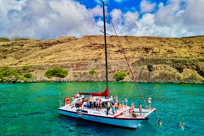 Discover the Magic of Coral Garden’s Turtle Town - Maalaea Harbor - Coral Garden and Olowalu Reef as alternate stops