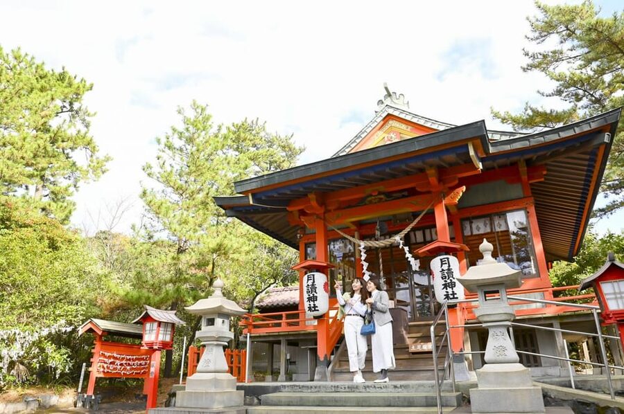 Discover the Wonder of Sakurajima Half Day Tour in Kagoshima - Sakurajima Port and the Island View Bus