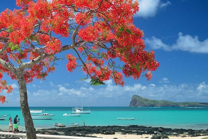 Discovering the North of Mauritius: Full-day incl Botanical garden & lunch - Why this north Mauritius day is useful