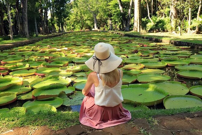 Discovering the North of Mauritius: Full-day incl Botanical garden & lunch - Aapravasi Ghat and the story of indentured labor
