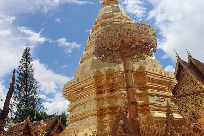 Doi Suthep Temple, Pha Lat Temple, Sticky Waterfall, Orchid farm - What the $78 price includes