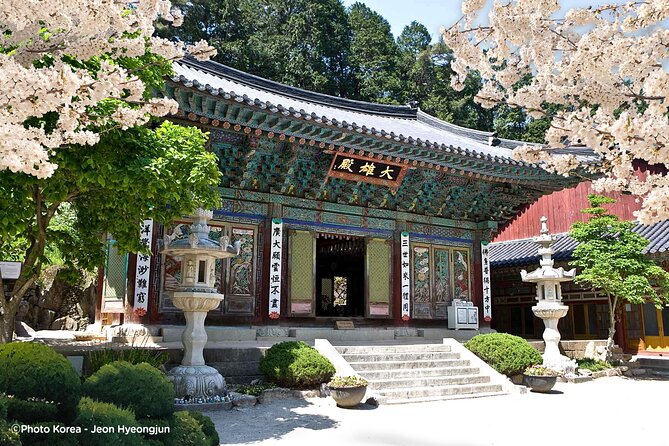 Donghaksa Temple Cherry Blossom and Jeonju Hanok Village - Key points to know before booking