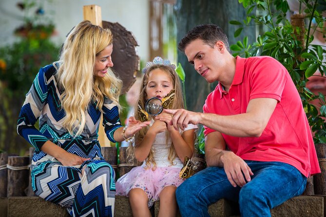 Dubai Butterfly Garden Admission Ticket - The Butterfly Museum and pressed-butterfly art