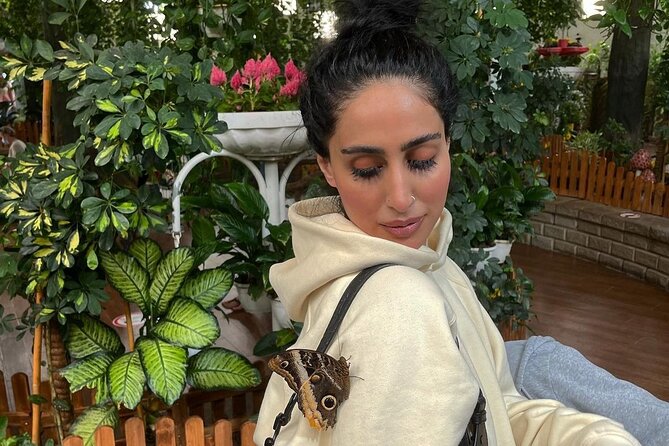 Dubai Butterfly Garden Entry Ticket - What you see inside Dubai Butterfly Garden