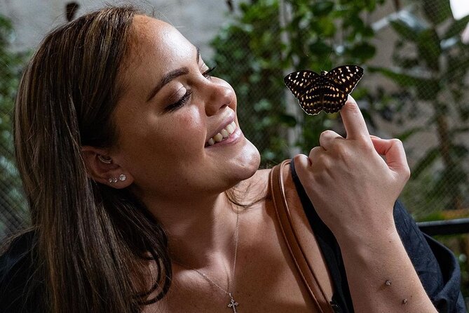 Dubai Butterfly Garden Entry Ticket - The butterfly lifecycle makes the visit worthwhile