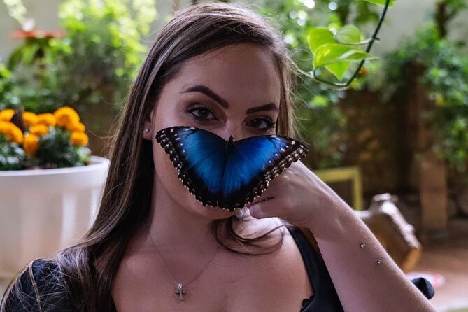 Dubai Butterfly Garden Entry Ticket - Why the temperature matters in Dubai