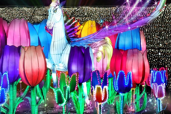 Dubai Garden Glow Tickets with Transport Options - How the 3 to 4 hour visit works