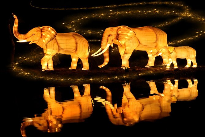 Dubai Garden Glow Tickets with Transport Options - Glow Park, where the lights do the talking