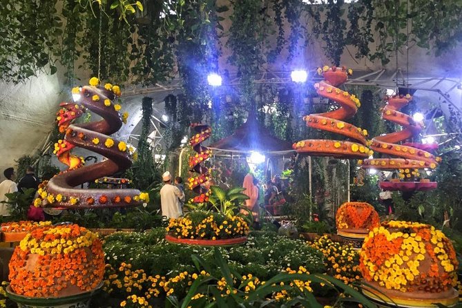 Dubai Miracle & Butterfly Garden Tour with private round trip transfers - Two gardens, one easy Dubai escape