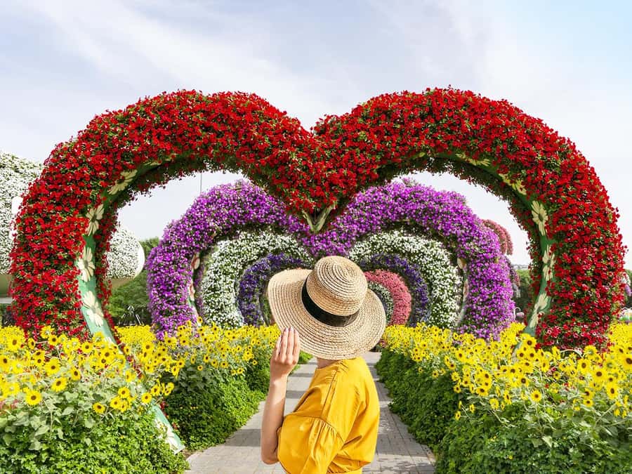 Dubai: Miracle Garden Entry Ticket with Hotel Transfer - Walking through Smurfs Village and Lake Park