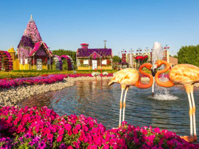Miracle Garden Entry Ticket with Hotel Transfer