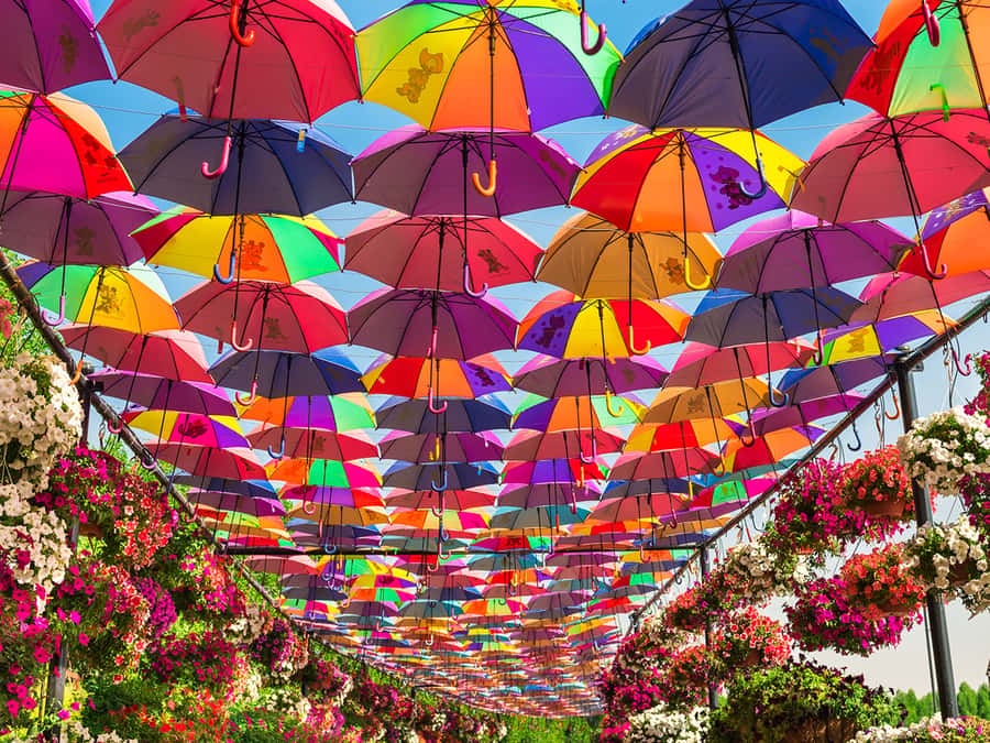 Dubai: Miracle Garden Entry Ticket with Hotel Transfer - Is this a guided tour?