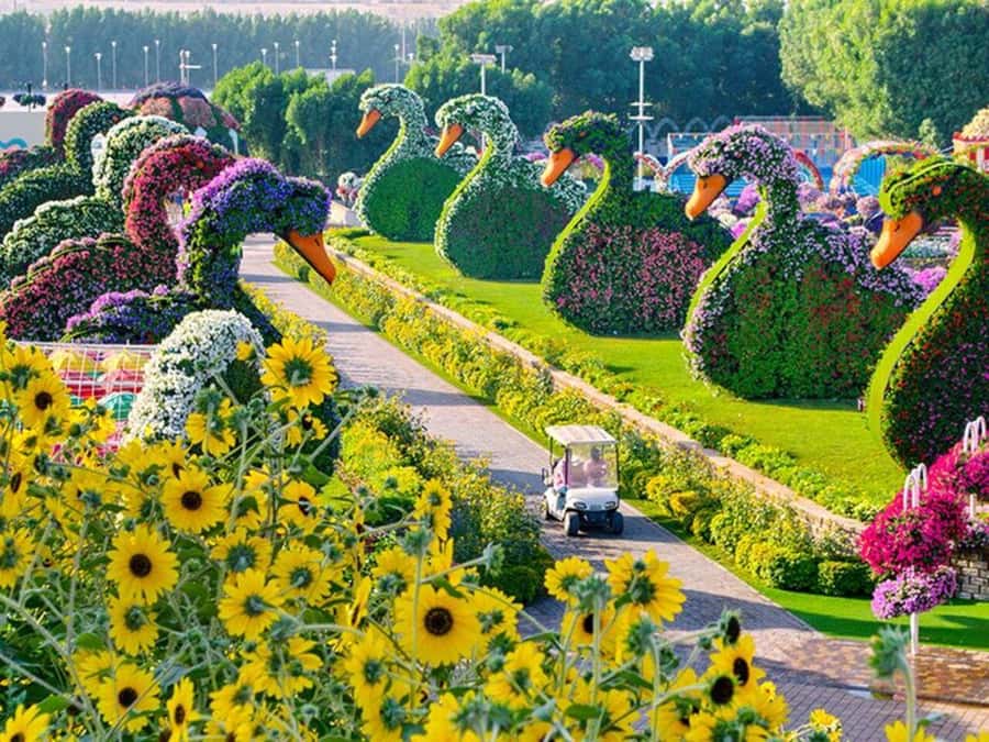 Dubai: Miracle Garden, Global Village, and Dubai Frame - What this Dubai combination actually offers