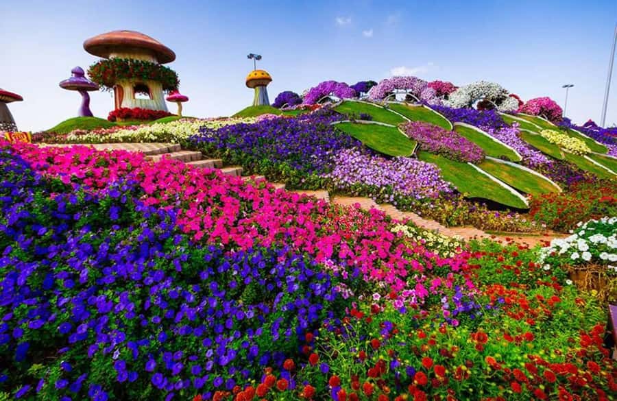 Dubai: Miracle Garden, Global Village, and Dubai Frame - What the driver service adds