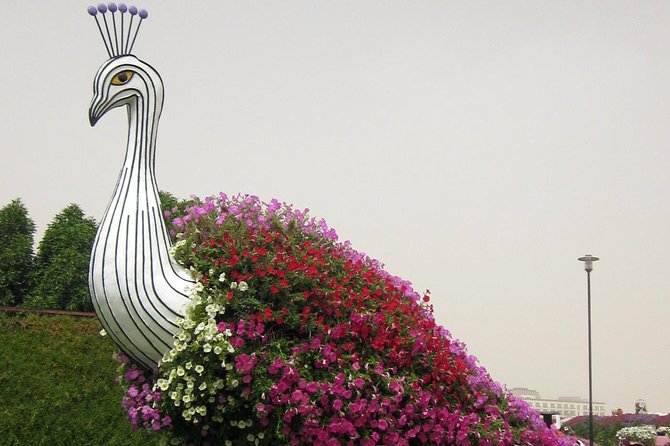 Dubai Miracle Garden Self-Guided Tour with Ticket with Transfer - Shared pickup is convenient, but timing can slip
