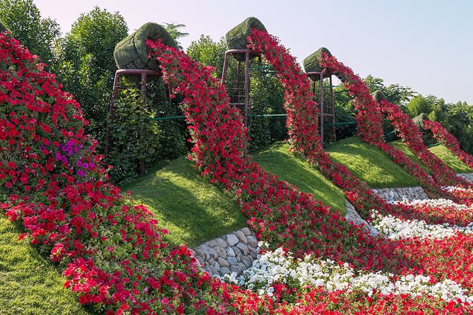 Dubai Miracle Garden Self-Guided Tour with Ticket with Transfer - Is $80 a fair price?