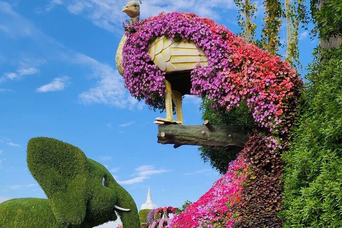 Dubai Miracle Garden Skip the Line E-Ticket and Transport Options - Shared or private transport: which option makes sense