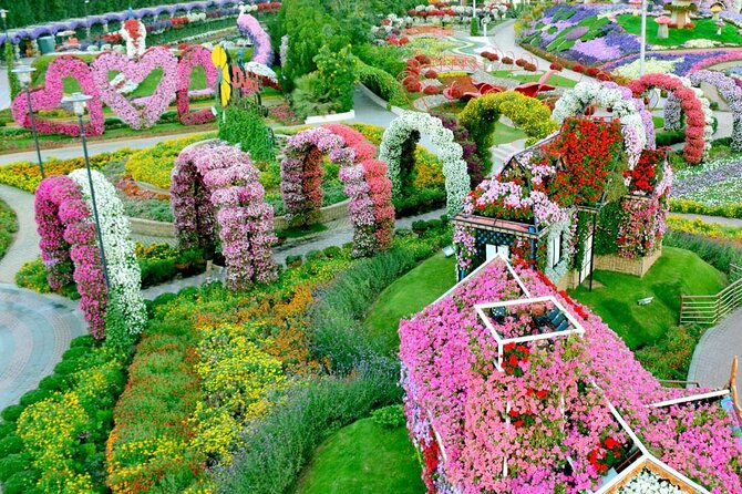 Dubai Miracle Garden Ticket with Transfer - Is $89 a Fair Price?