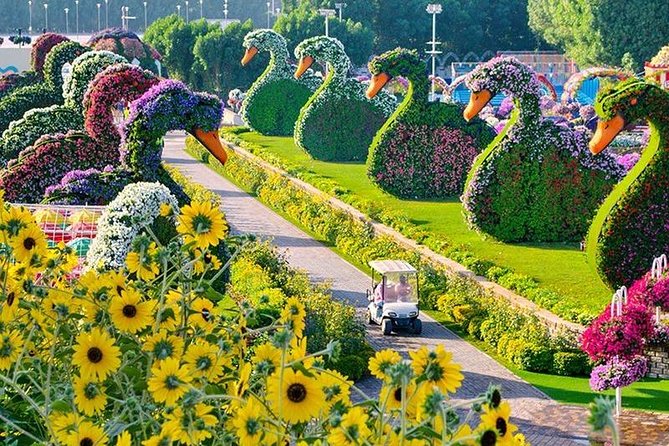 Dubai Miracle Garden with private round trip transfers - What Your Three-Hour Package Actually Includes