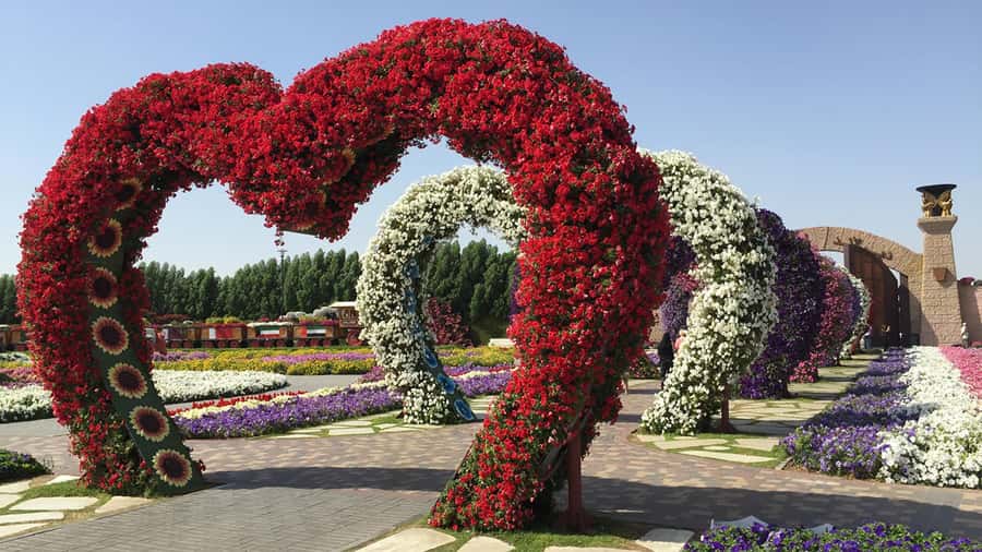 Dubai: Private Miracle Garden & Global Village Trip - Hotel pickup and the value of a private car