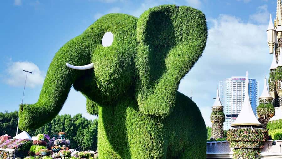 Dubai: Private Miracle Garden & Global Village Trip - Small details that make the day easier