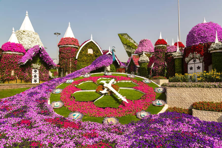 Dubai: Private Miracle Garden & Global Village Trip - Who should book this Dubai combination?