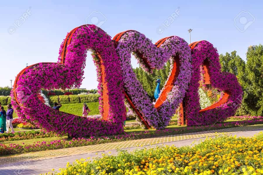 Dubai: Private Miracle Garden & Global Village Trip - Miracle Garden and the famous flower-covered A380