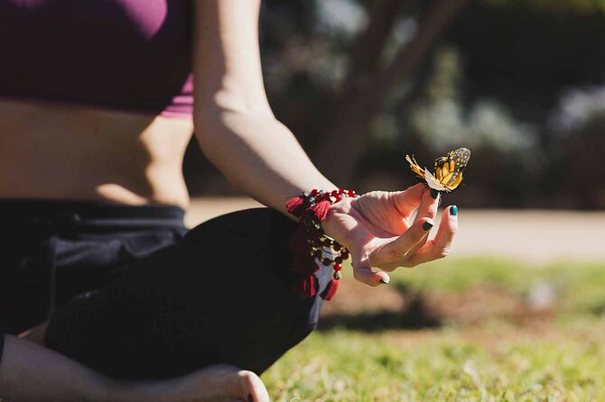 Dubai: Skip-The-Line Ticket to Butterfly Garden - How long you should allow