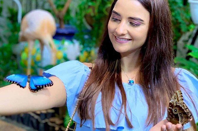 Dubai: Skip-The-Line Ticket to Butterfly Garden - Getting value from the $20 ticket