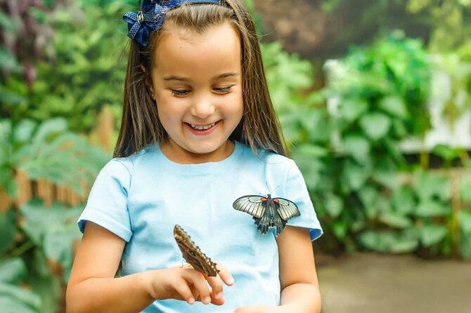 Dubai: Skip-The-Line Ticket to Butterfly Garden - Timing, transport, and access