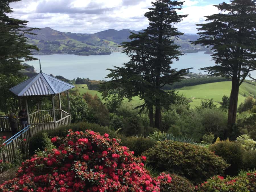 Dunedin: Peninsula with Lanarch Castle gardens & Olveston - Meeting at Port Chalmers at 9:00 AM