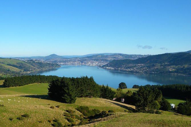 Dunedin Shore Excursion - Sightseeing, Larnach Castle, Chinese Garden & Museum - The Chinese Garden’s quiet change of pace