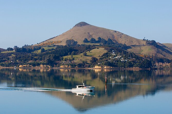 Dunedin Shore Excursion - Sightseeing, Larnach Castle, Chinese Garden & Museum - What the transport and timing mean for you