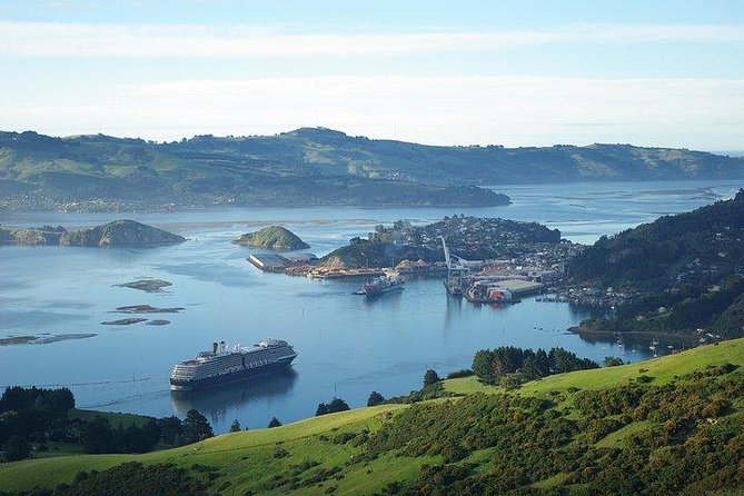 Dunedin Shore Excursion - Sightseeing, Larnach Castle, Chinese Garden & Museum - The guide can make or break the day