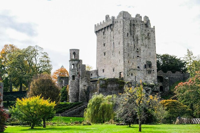 Easy Access Blarney Stone and Castle Gardens Tour - Why this short Blarney tour works