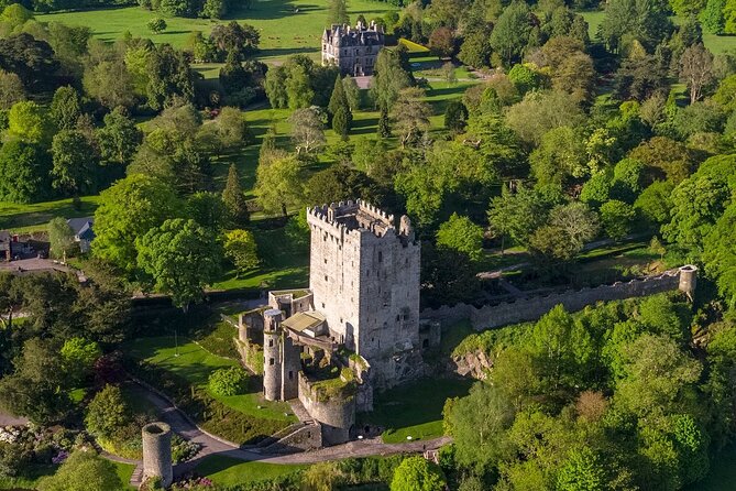 Easy Access Blarney Stone and Castle Gardens Tour - What $71.35 buys you
