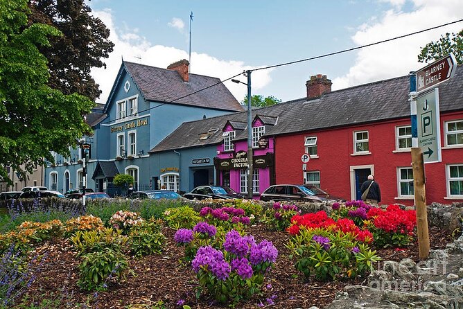 Easy Access Blarney Stone and Castle Gardens Tour - Who should book this experience
