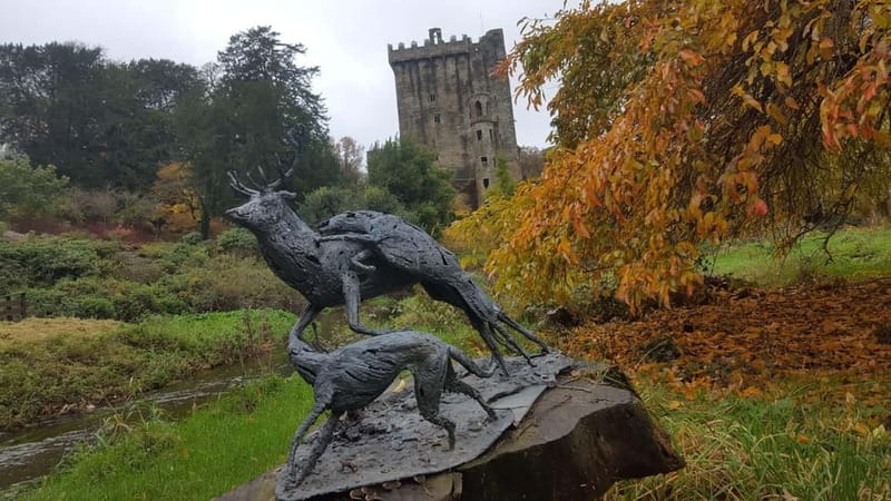 Easy Access - The Blarney Stone & Castle Gardens Tour - The walking demands are real