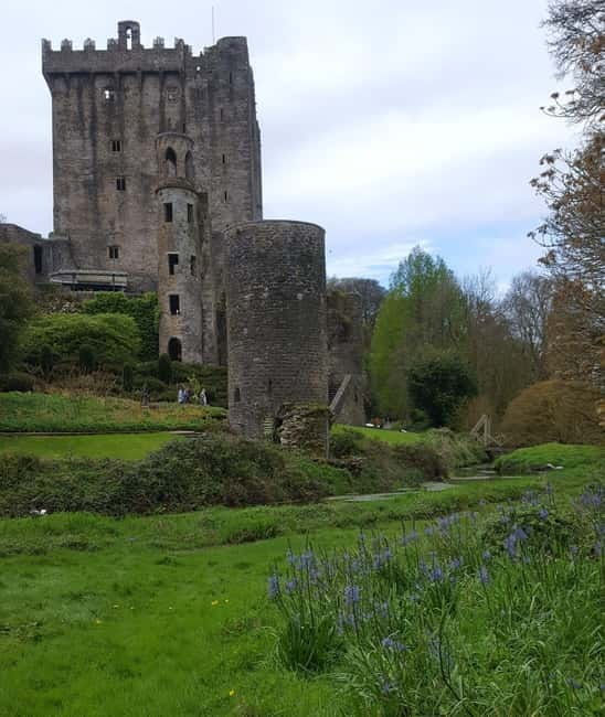 Easy Access - The Blarney Stone & Castle Gardens Tour - Which guide style suits this tour