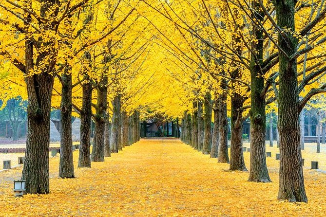 Easy private tour to Nami Island, Garden of Morning Calm - Why this makes a good Seoul day trip