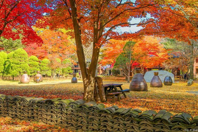Easy private tour to Nami Island, Garden of Morning Calm - One hour at the Garden of Morning Calm