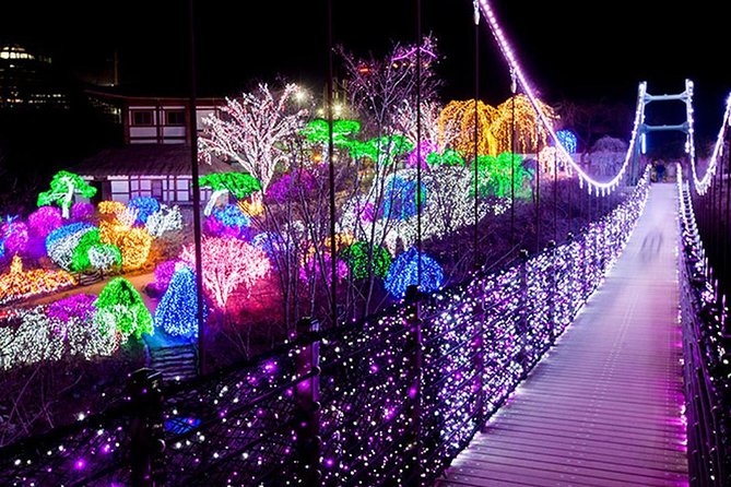 Easy private tour to Nami Island, Garden of Morning Calm - Who should book this outing?