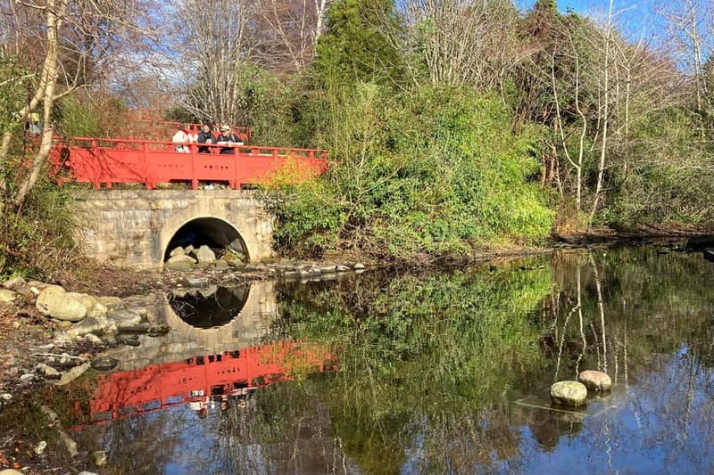 Edinburgh: Walk Dean Village, New Town & Royal Botanics - Is $31 a fair price?