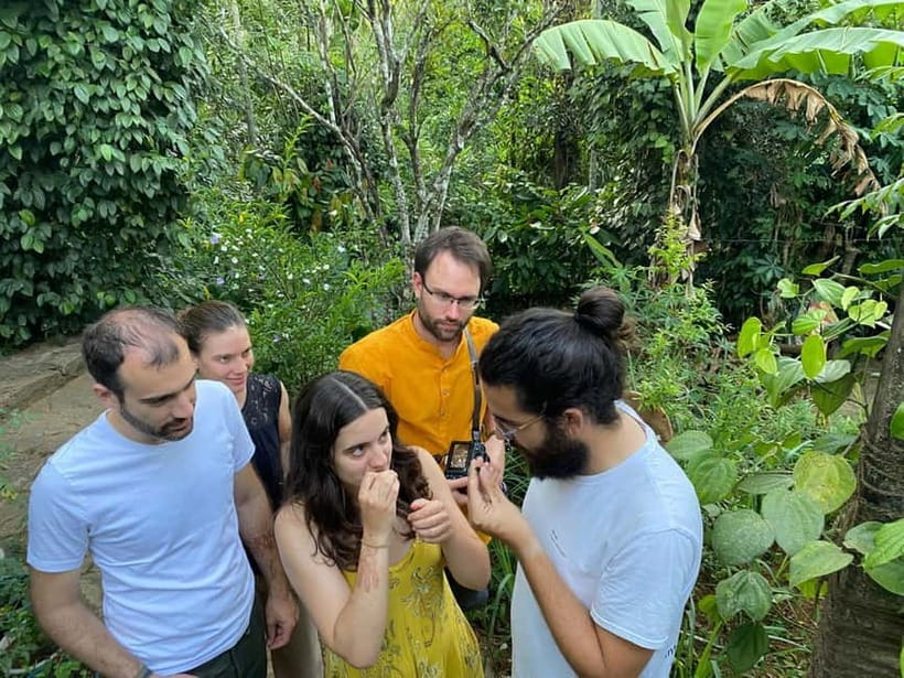 Ella: Nine Arch Spice Garden Tour with Traditional Lunch - Walking into Ella’s spice garden