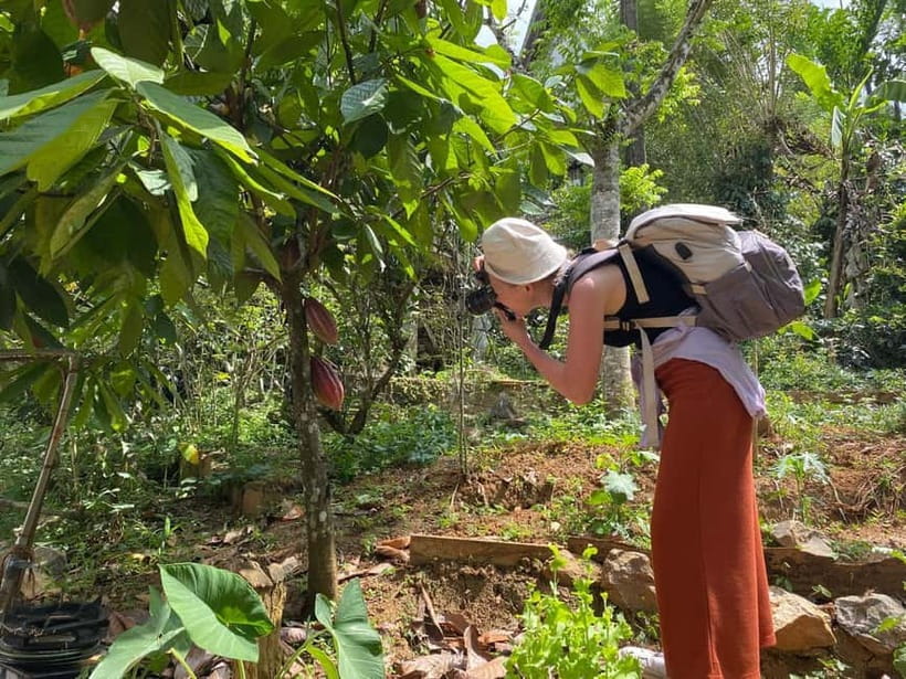 Ella: Nine Arch Spice Garden Tour with Traditional Lunch - From garden plants to a Sri Lankan kitchen
