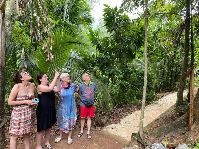 Ella: Nine Arch Spice Garden Tour with Traditional Lunch - Six curries and a traditional dessert