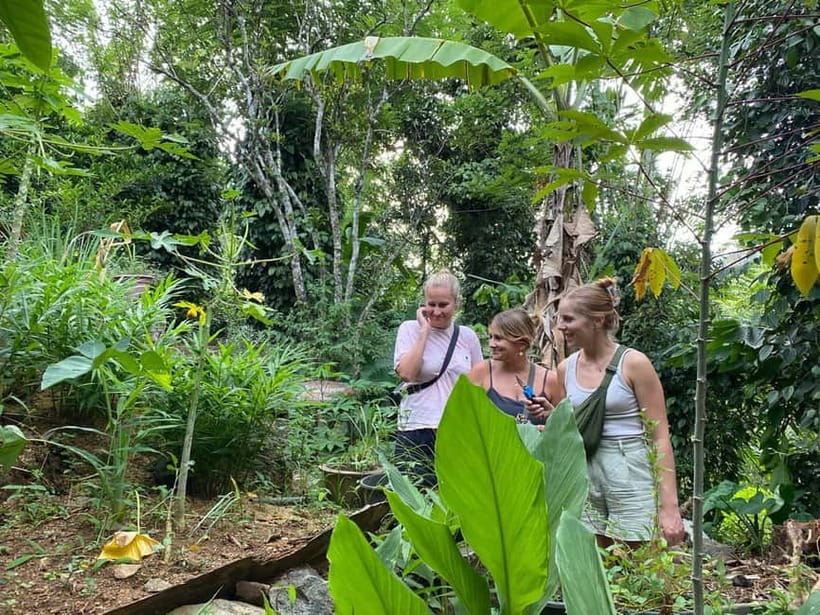 Ella: Nine Arch Spice Garden Tour with Traditional Lunch - Timing, group size, and practical details