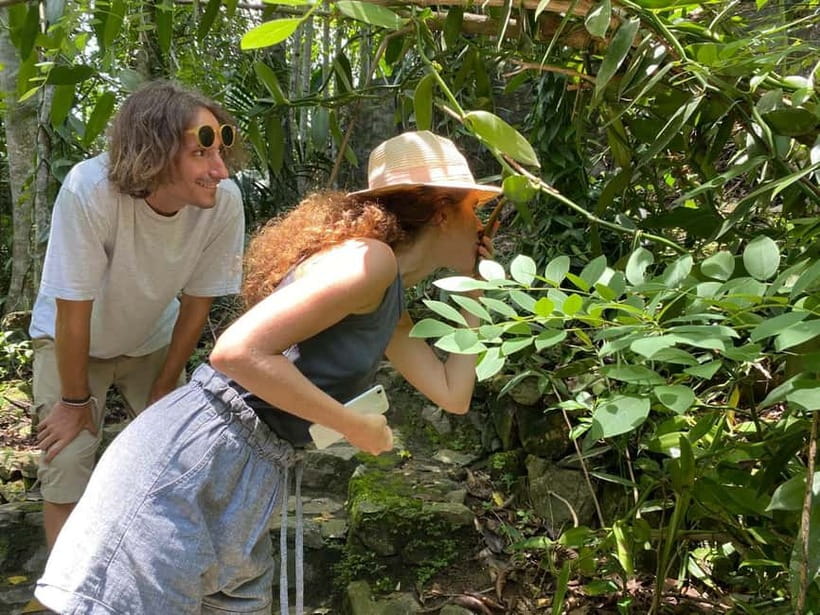 Ella: Nine Arch Spice Garden Tour with Traditional Lunch - Should you book the Nine Arch Spice Garden Tour?